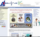 LI Web Design